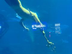 -福州罗源湾海洋世界旅游区