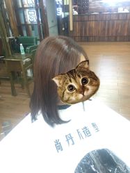 -尚丹尼造型