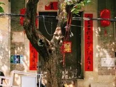 -小洲村