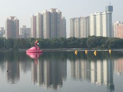 -莲花池公园