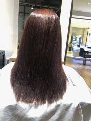 -Mentor Hair Salon