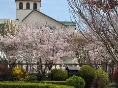 -青岛海景花园大酒店·白果树餐厅青岛菜