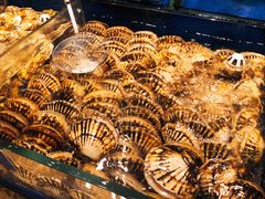 -高佳庄·舟山海鲜(海景旗舰店)