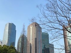 -陆家嘴中心绿地