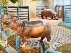 -常州淹城野生动物世界