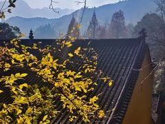 -九华山风景区