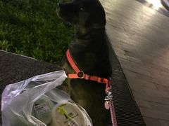 -1点点(银座和谐广场店)