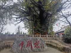 -大槐树寻根祭祖园