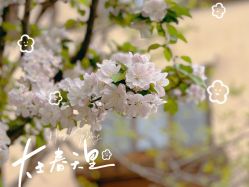 点击看大图 -芙蓉花月子会所(朝阳区店)