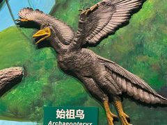 -辽宁古生物博物馆