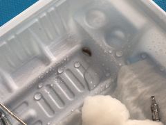 -品凯口腔(丰潭门诊)