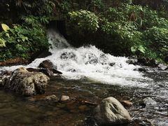 -广州市石门国家森林公园