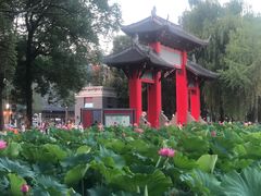-四川大学(望江校区)