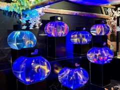 -海合安青岛极地海洋公园