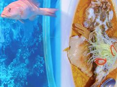 -御花园·粤菜·海鲜火锅(中山公园店)
