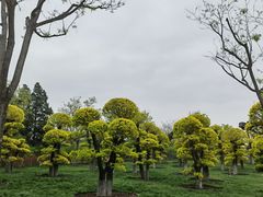 -西海子公园