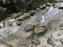 -萧邦音乐会所KTV·蒸汽活海鲜自助(福田店)