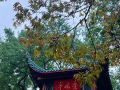 -岳麓山风景名胜区