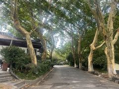 -杭州黄龙洞