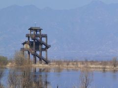 -野鸭湖国家湿地公园