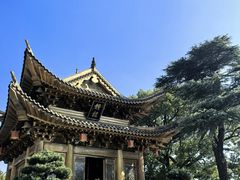 -上海东林寺(金山区)
