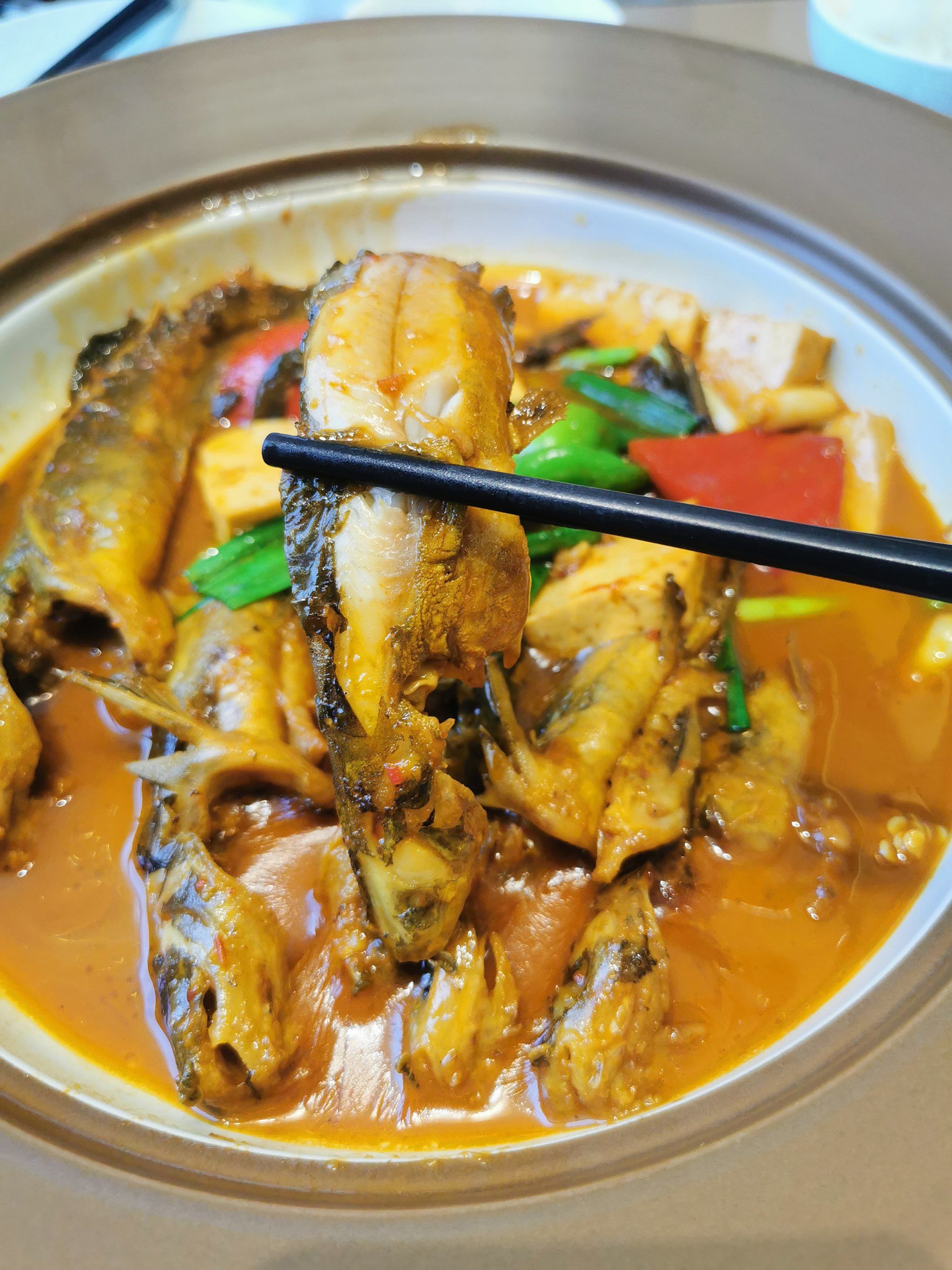 为了这一口活鱼,我愿意再来无数次‼️