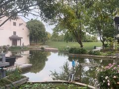 -梁鸿湿地丽笙度假酒店大堂吧