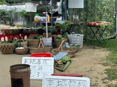 -凤岗南门山森林公园