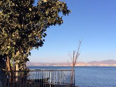 iphone_upload_pic-清真·聚海轩餐厅(小关邑店)