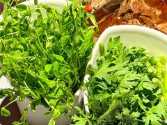 -浩爷羊蝎子火锅(望京店)