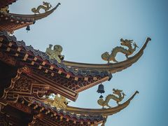 -龙潭水乡