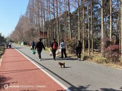 -上海长兴岛郊野公园