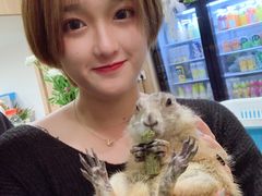 -藦茜花园宠物主题亲子互动体验馆(国顺东路店)