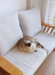 -Sugar苏格婚礼策划工作室