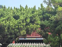 -蓬莱阁景区