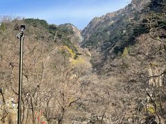 -泰山风景名胜区