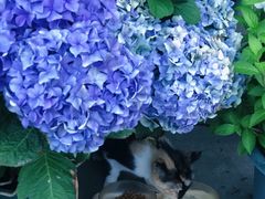 -Vanillacafe香草咖啡(银海大世界店)