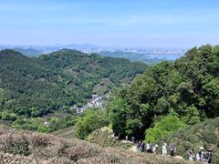 -十里琅珰