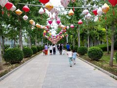 -南宫五洲植物乐园