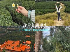 -南京市江宁方山