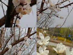 -东方之珠洗浴休闲广场(和平店)