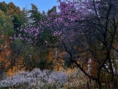 -白塘生态植物园
