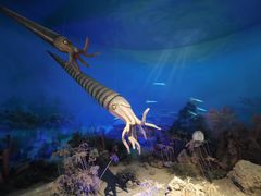 -国家自然博物馆