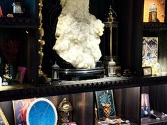 -雪灵魔法世界SHELLY’S TAROT(大良桂畔里店)