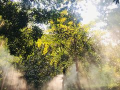 -韶山毛泽东同志故居