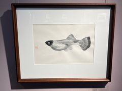 -石家庄正定国际机场-T2航站楼