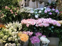 -花草间花行(法华镇路店)