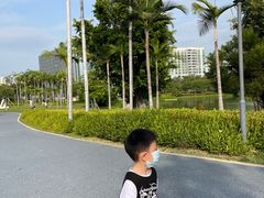 -宝安西湾红树林湿地公园