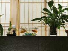 -吉川居酒屋(建国北路店)