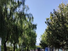 -亲兄弟真人CS团建拓展基地